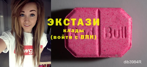 соль ск Новозыбков