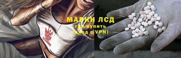 соль ск Новозыбков
