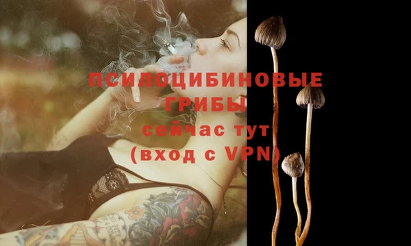 таблы Новокубанск