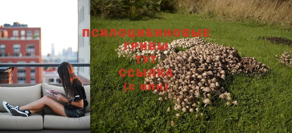 МДПВ Новодвинск