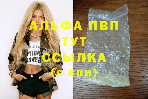 соль ск Новозыбков