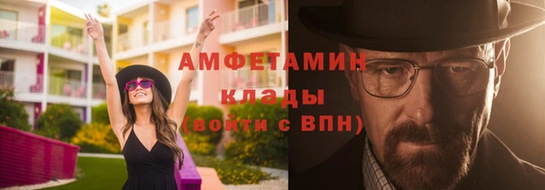 соль ск Новозыбков