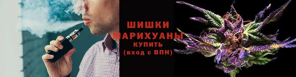 соль ск Новозыбков