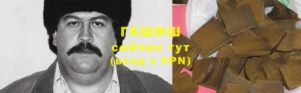 соль ск Новозыбков