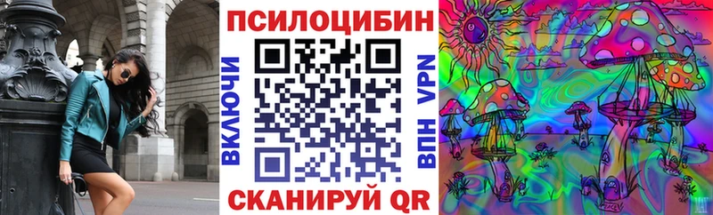 Псилоцибиновые грибы мицелий  Купить  Чишмы 